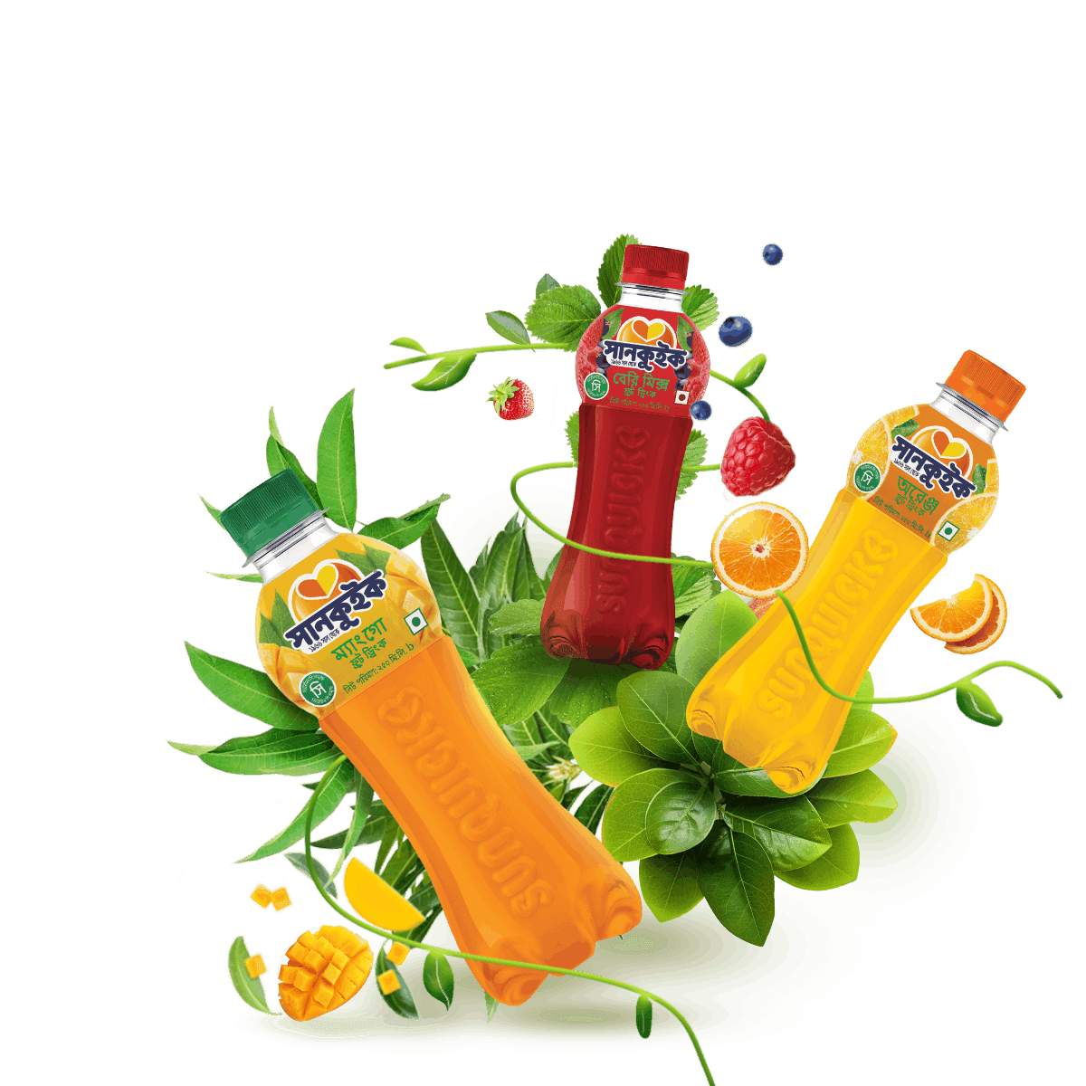 How the Plan Took Shape